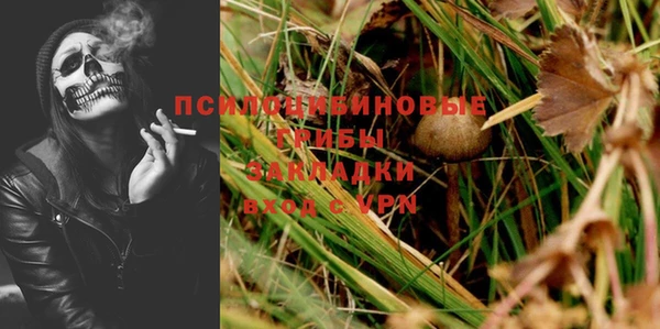 PSILOCYBIN Алексеевка