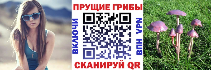 Галлюциногенные грибы Psilocybe  Мураши 
